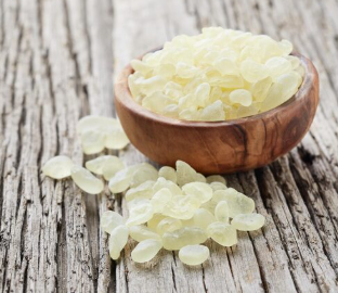 Přírodní pryskyřice-slzy chioské mastichy, hlavní složkou doplňku stravy MasticVital pro zvířata, které pečují a zlepšují zdraví všech zvířat